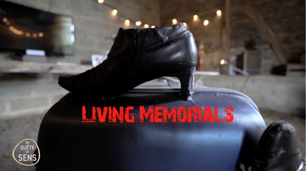 1 chaussures et valise